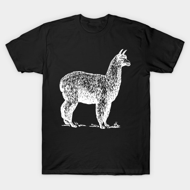 Llama T-Shirt by TheOrdinarySun